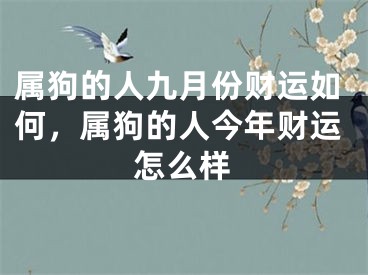 属狗的人九月份财运如何，属狗的人今年财运怎么样