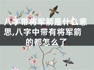 八字带将军箭是什么意思,八字中带有将军箭的都怎么了
