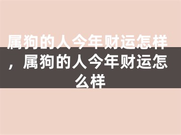 属狗的人今年财运怎样，属狗的人今年财运怎么样