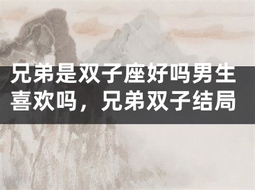 兄弟是双子座好吗男生喜欢吗，兄弟双子结局