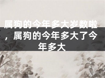 属狗的今年多大岁数啦，属狗的今年多大了今年多大