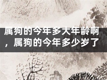 属狗的今年多大年龄啊，属狗的今年多少岁了