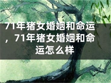 71年猪女婚姻和命运，71年猪女婚姻和命运怎么样