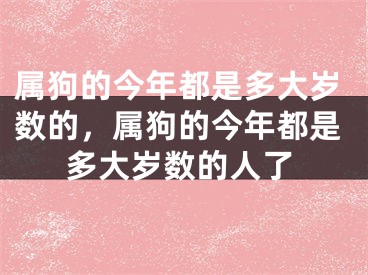 属狗的今年都是多大岁数的，属狗的今年都是多大岁数的人了