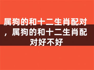 属狗的和十二生肖配对，属狗的和十二生肖配对好不好