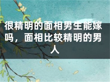 很精明的面相男生能嫁吗，面相比较精明的男人