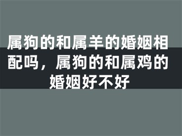 属狗的和属羊的婚姻相配吗，属狗的和属鸡的婚姻好不好