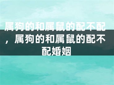 属狗的和属鼠的配不配，属狗的和属鼠的配不配婚姻