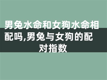 男兔水命和女狗水命相配吗,男兔与女狗的配对指数