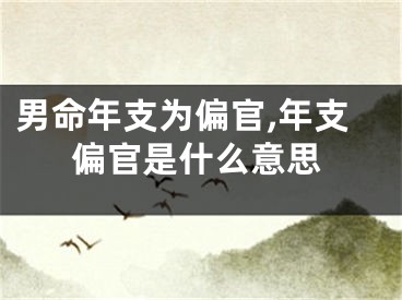 男命年支为偏官,年支偏官是什么意思