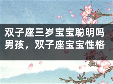 双子座三岁宝宝聪明吗男孩，双子座宝宝性格