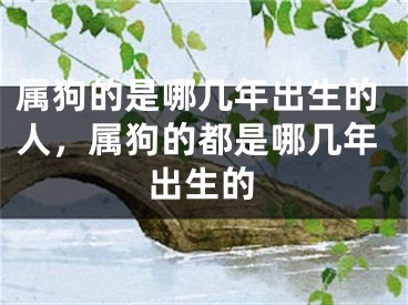 属狗的是哪几年出生的人，属狗的都是哪几年出生的