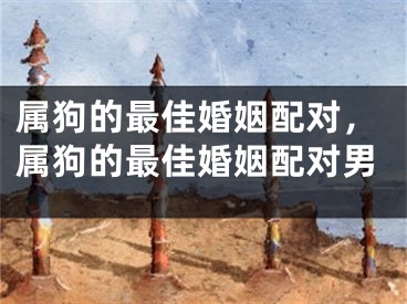 属狗的最佳婚姻配对，属狗的最佳婚姻配对男
