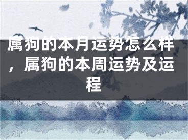 属狗的本月运势怎么样，属狗的本周运势及运程