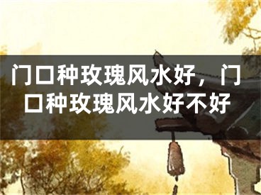 门口种玫瑰风水好，门口种玫瑰风水好不好