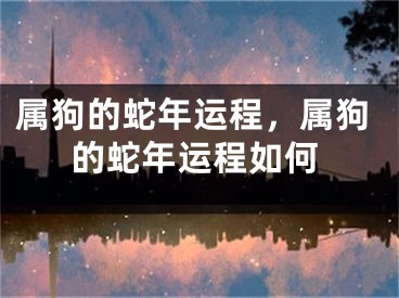 属狗的蛇年运程，属狗的蛇年运程如何
