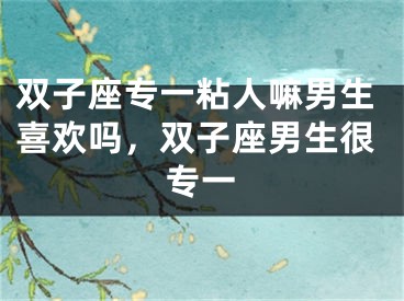 双子座专一粘人嘛男生喜欢吗，双子座男生很专一
