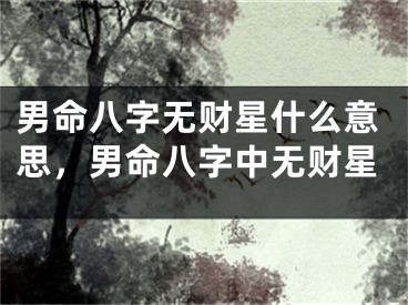 男命八字无财星什么意思，男命八字中无财星