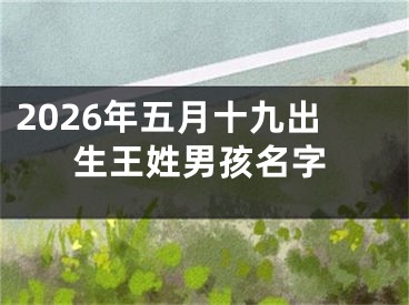 2026年五月十九出生王姓男孩名字