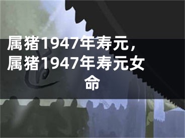 属猪1947年寿元，属猪1947年寿元女命