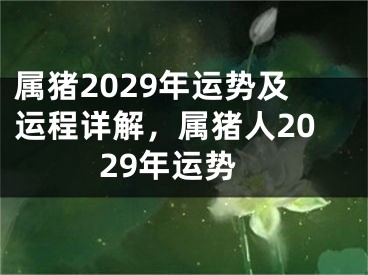 属猪2029年运势及运程详解，属猪人2029年运势