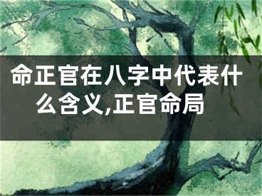命正官在八字中代表什么含义,正官命局