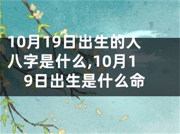 10月19日出生的人八字是什么,10月19日出生是什么命