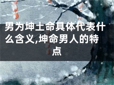 男为坤土命具体代表什么含义,坤命男人的特点