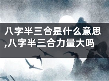 八字半三合是什么意思,八字半三合力量大吗