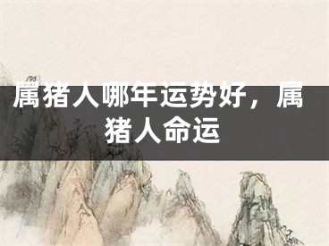 属猪人哪年运势好，属猪人命运