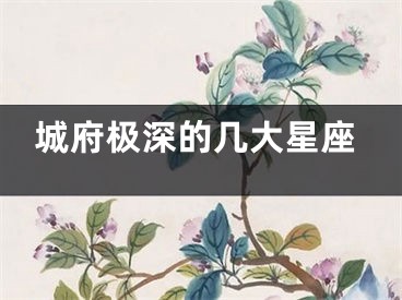 城府极深的几大星座
