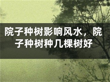 院子种树影响风水，院子种树种几棵树好