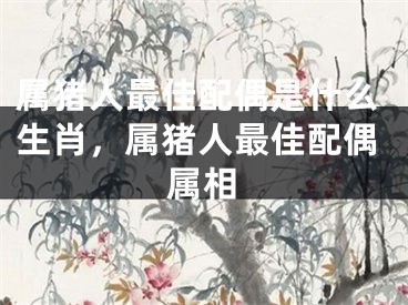 属猪人最佳配偶是什么生肖，属猪人最佳配偶属相