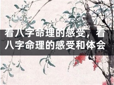 看八字命理的感受，看八字命理的感受和体会