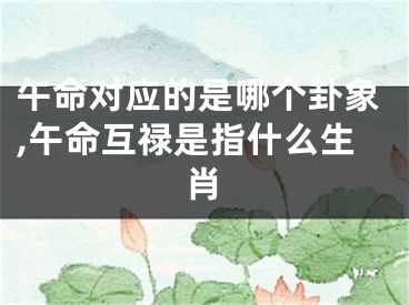 午命对应的是哪个卦象,午命互禄是指什么生肖