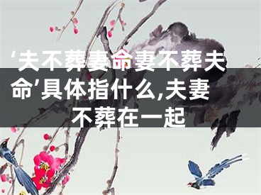 ‘夫不葬妻命妻不葬夫命’具体指什么,夫妻不葬在一起
