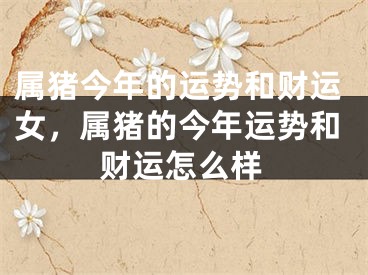 属猪今年的运势和财运女，属猪的今年运势和财运怎么样