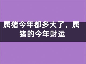 属猪今年都多大了，属猪的今年财运