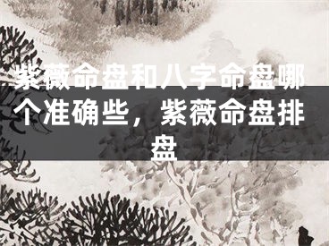 紫薇命盘和八字命盘哪个准确些，紫薇命盘排盘