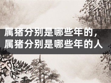属猪分别是哪些年的,属猪分别是哪些年的人