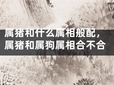 属猪和什么属相般配，属猪和属狗属相合不合