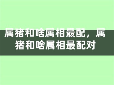 属猪和啥属相最配，属猪和啥属相最配对