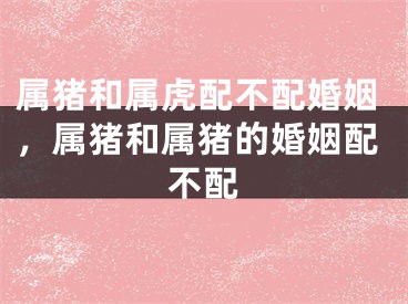 属猪和属虎配不配婚姻，属猪和属猪的婚姻配不配