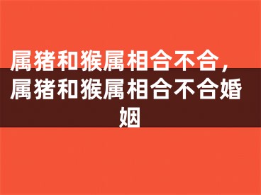 属猪和猴属相合不合，属猪和猴属相合不合婚姻