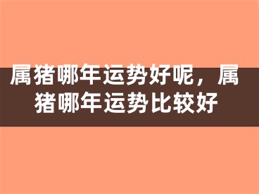 属猪哪年运势好呢，属猪哪年运势比较好