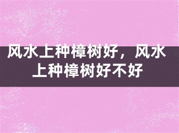 风水上种樟树好，风水上种樟树好不好