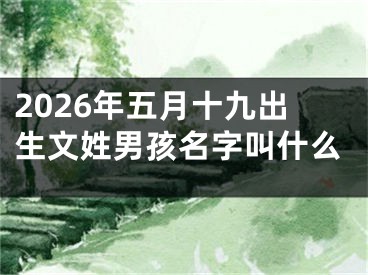 2026年五月十九出生文姓男孩名字叫什么