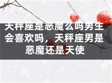 天秤座是恶魔么吗男生会喜欢吗，天秤座男是恶魔还是天使