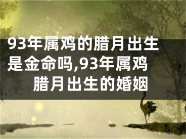 93年属鸡的腊月出生是金命吗,93年属鸡腊月出生的婚姻