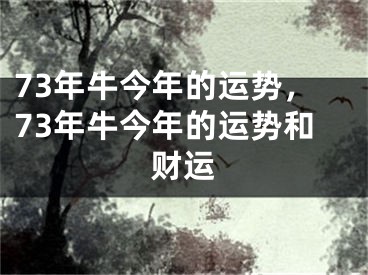 73年牛今年的运势，73年牛今年的运势和财运